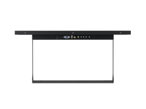 Monitor 22