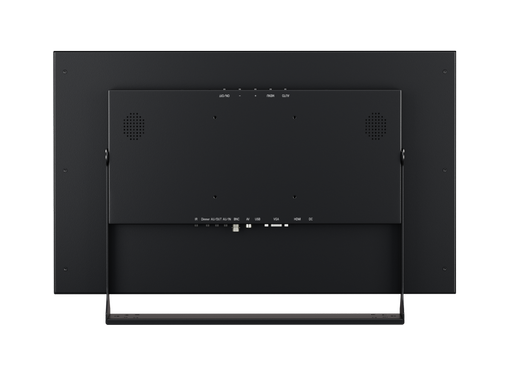 Monitor 22