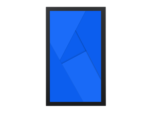 Monitor 22