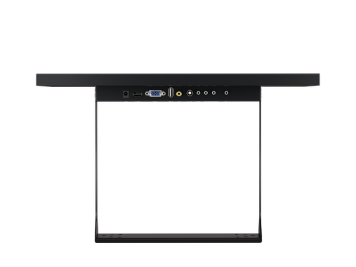 Monitor 19