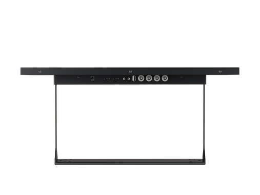 Monitor 22