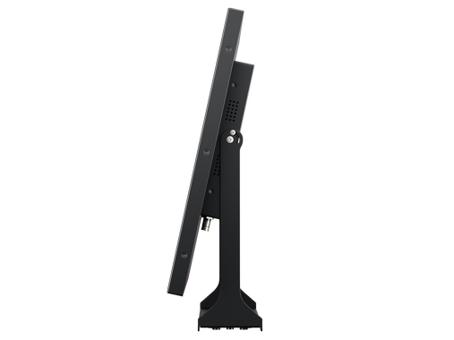 Monitor 22