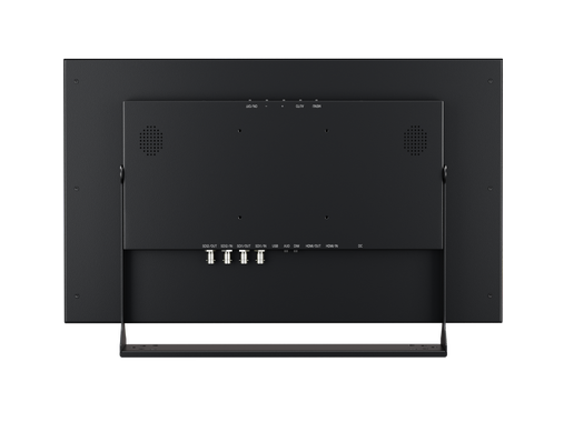 Monitor 22
