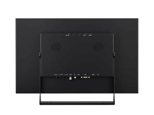 Monitor 17
