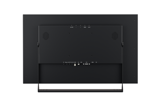 Monitor 22